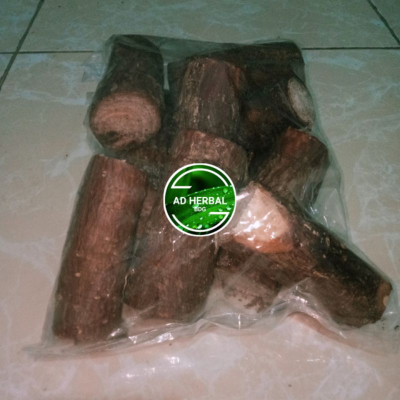 

Akar Pinus Segar 1 Kg Dadakan