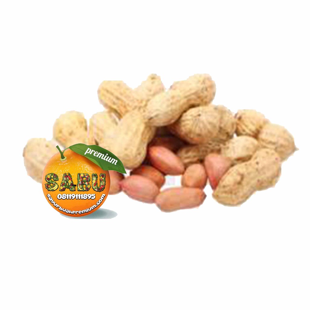 

Kacang Tanah Segar Premium