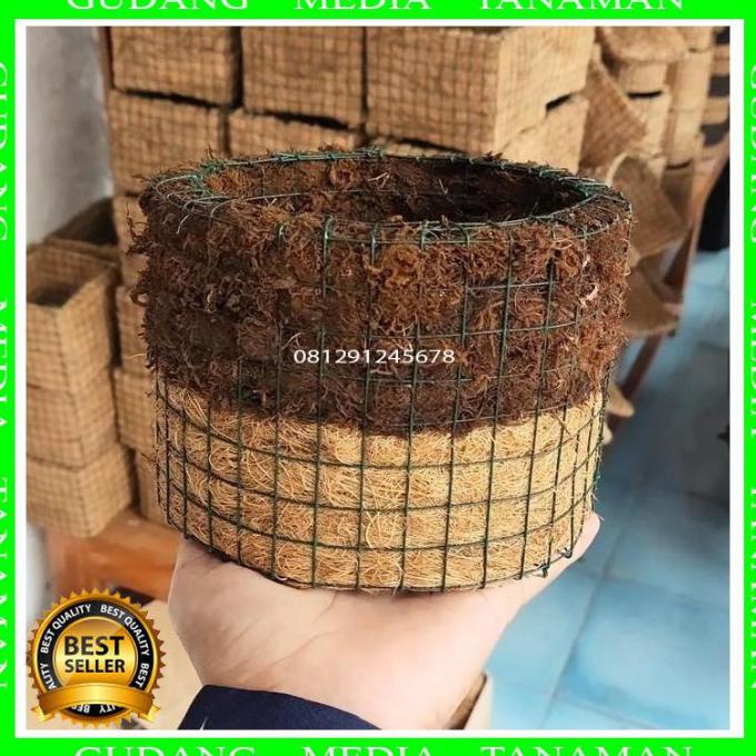 Vas Bunga Anggrek Bunga Hias Jual
