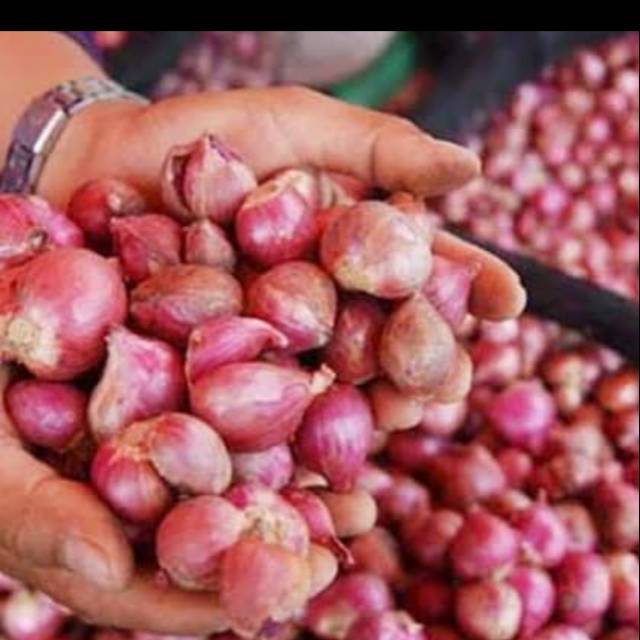 

Bawang Merah