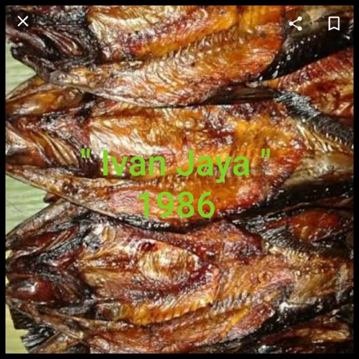 

Ikan Saleh Salai Limbad Asap Sidempuan 500Gram