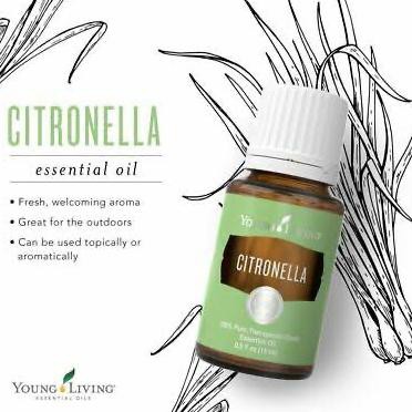 Citronella Young Living 15Ml Dewisartikage