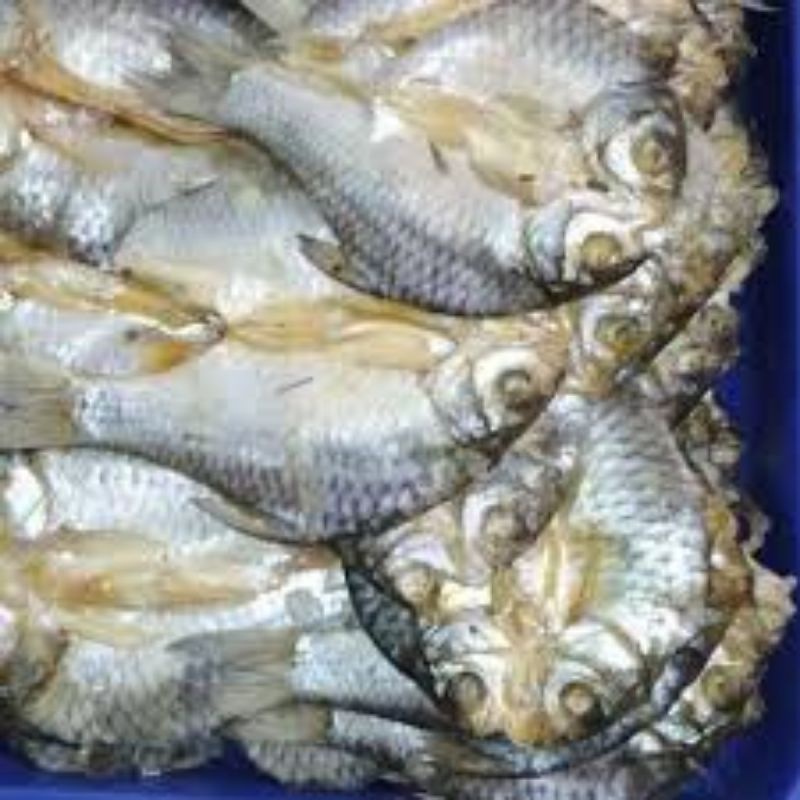

ikanasintawesmurah250g