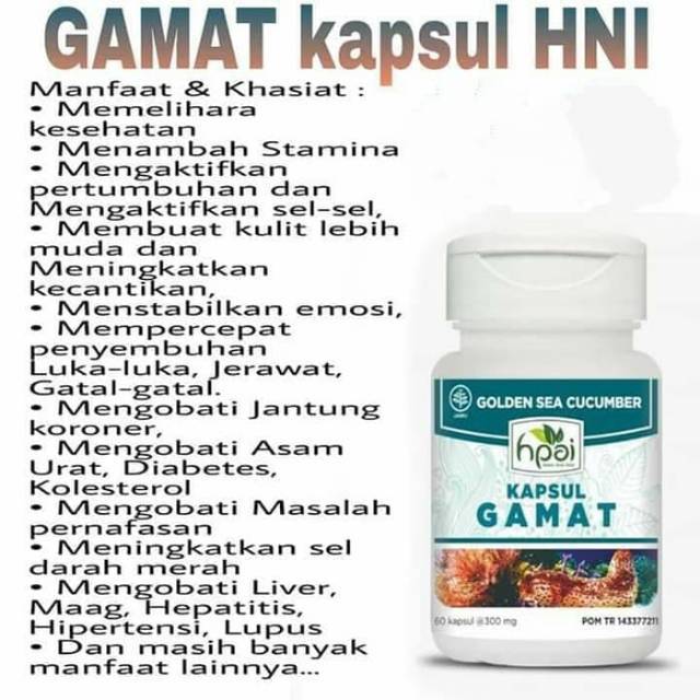 GAMAT HNI/HPAI