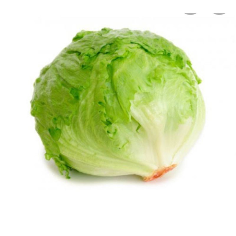 

lettus fresh per 500gram