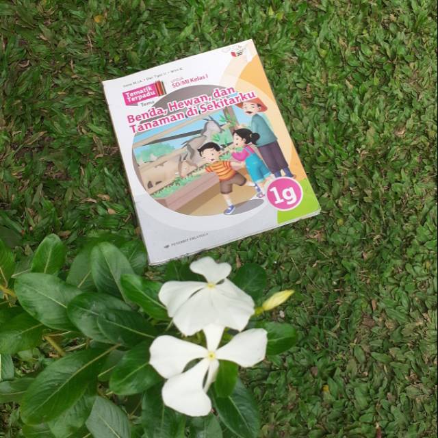 Buku tematik terpadu kelas 1 (1G) erlangga