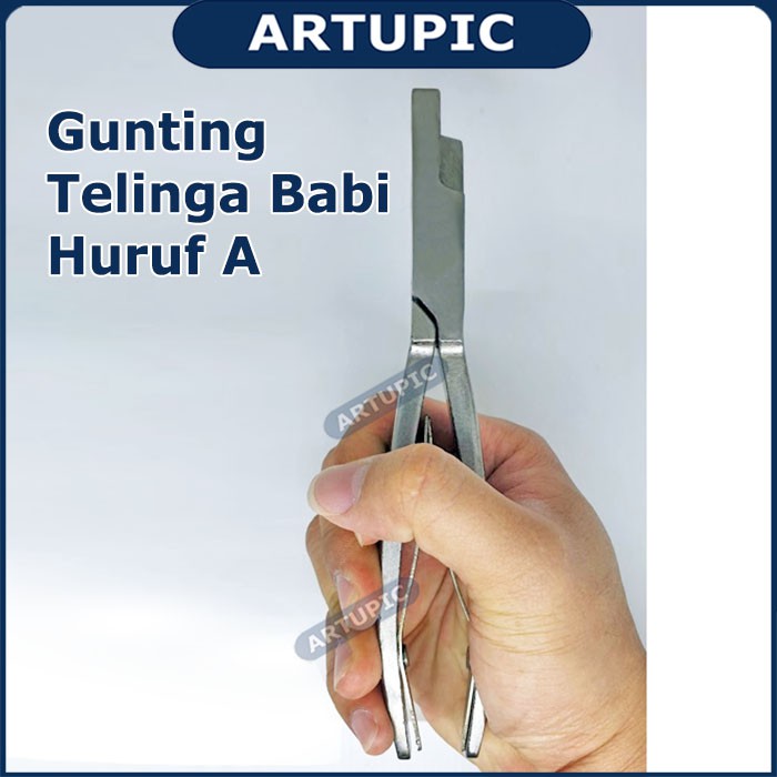 Gunting Telinga Babi Huruf A Alat Potong Kuping Babi Pig Ear Scissors Artupic