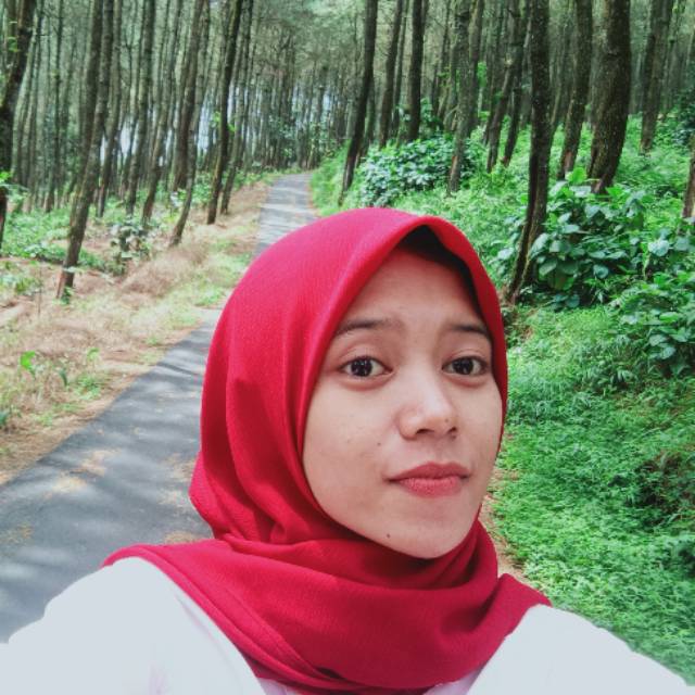 ulfifauziah156