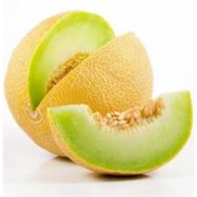 

BUAH MELON SEGAR