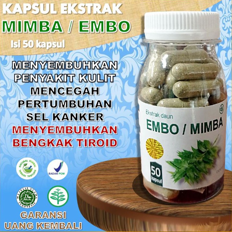 

Daun embo mimba nemm kapsul herbal suplemen kesehatan obat segala benjolan dan penyakit