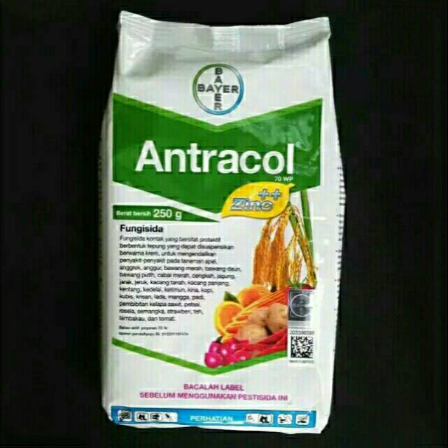 Fungisida ANTRACOL 70 WP Plus Zinc Bahan Aktif Propinep