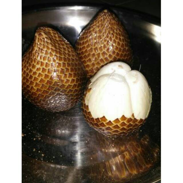 

Promo 3Kg Salak Madu asli Yogyakarta