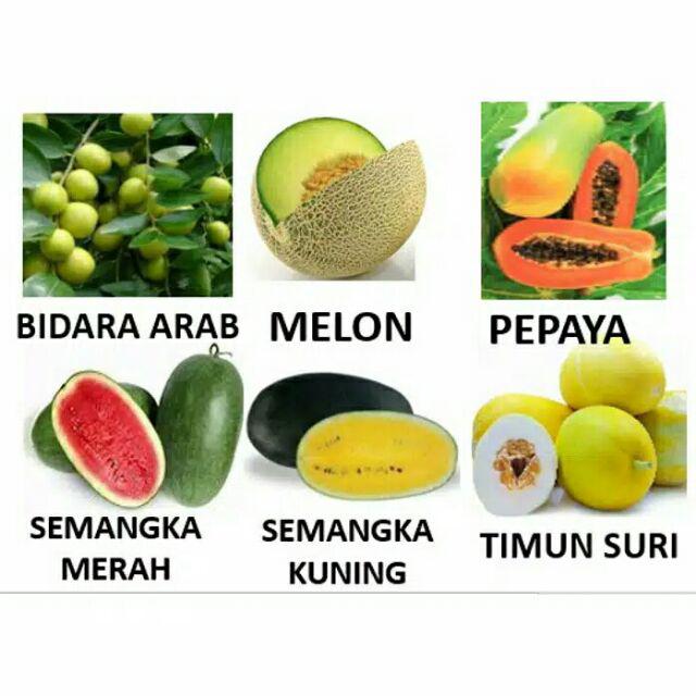Paket Buah - Paket Hemat 6 Jenis Benih Unggul Buah Buahan
