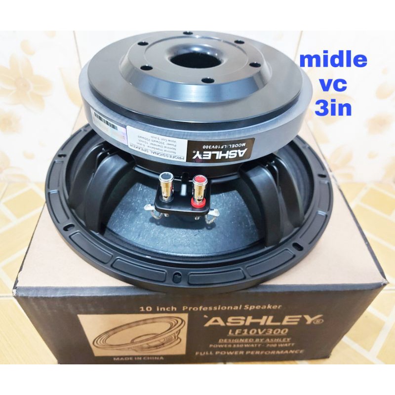 Speaker Ashley 10inch LF10V300 Ashley. ASHLEY LF10V300