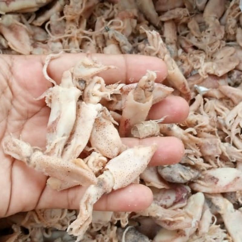 

Cumi Baby Kering Asin 500 gram