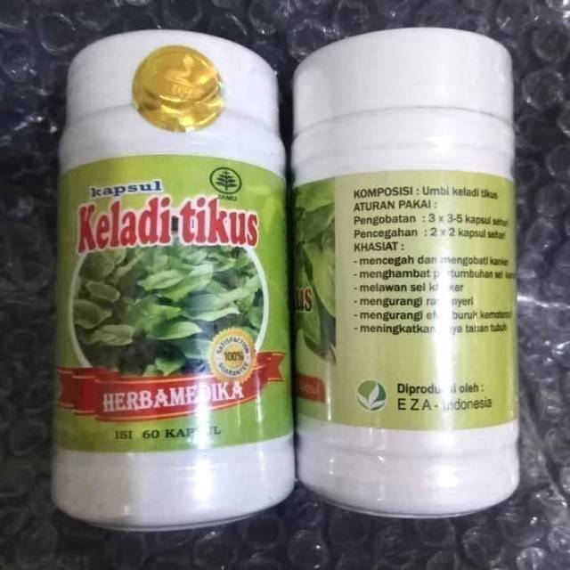 Kapsul Keladi Tikus herbal asli muricata