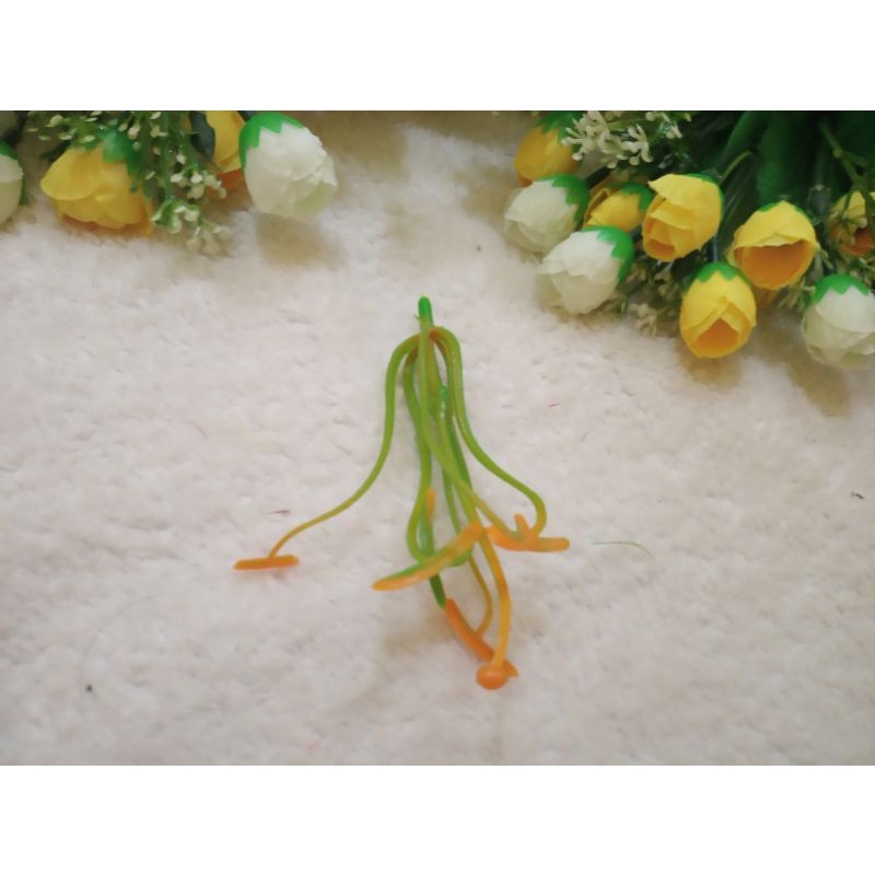 putik lily pucuk kuning