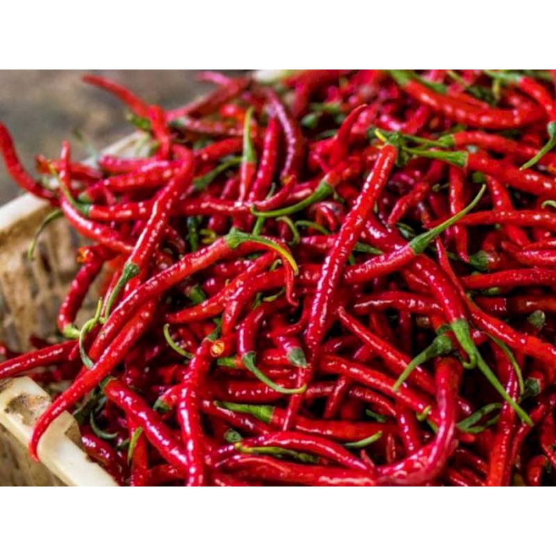 

cabai kriting merah 2 kg