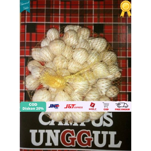 

◾COD◾ Bawang Putih Tunggal / Bawang Lanang 500GRAM /Bawang Kesehatan Herbal