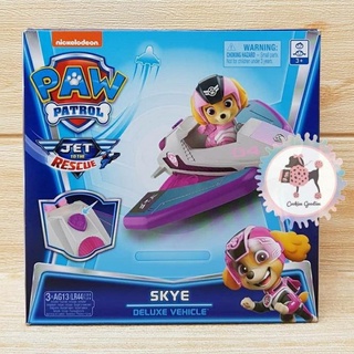 skye paw patrol jet to the rescue