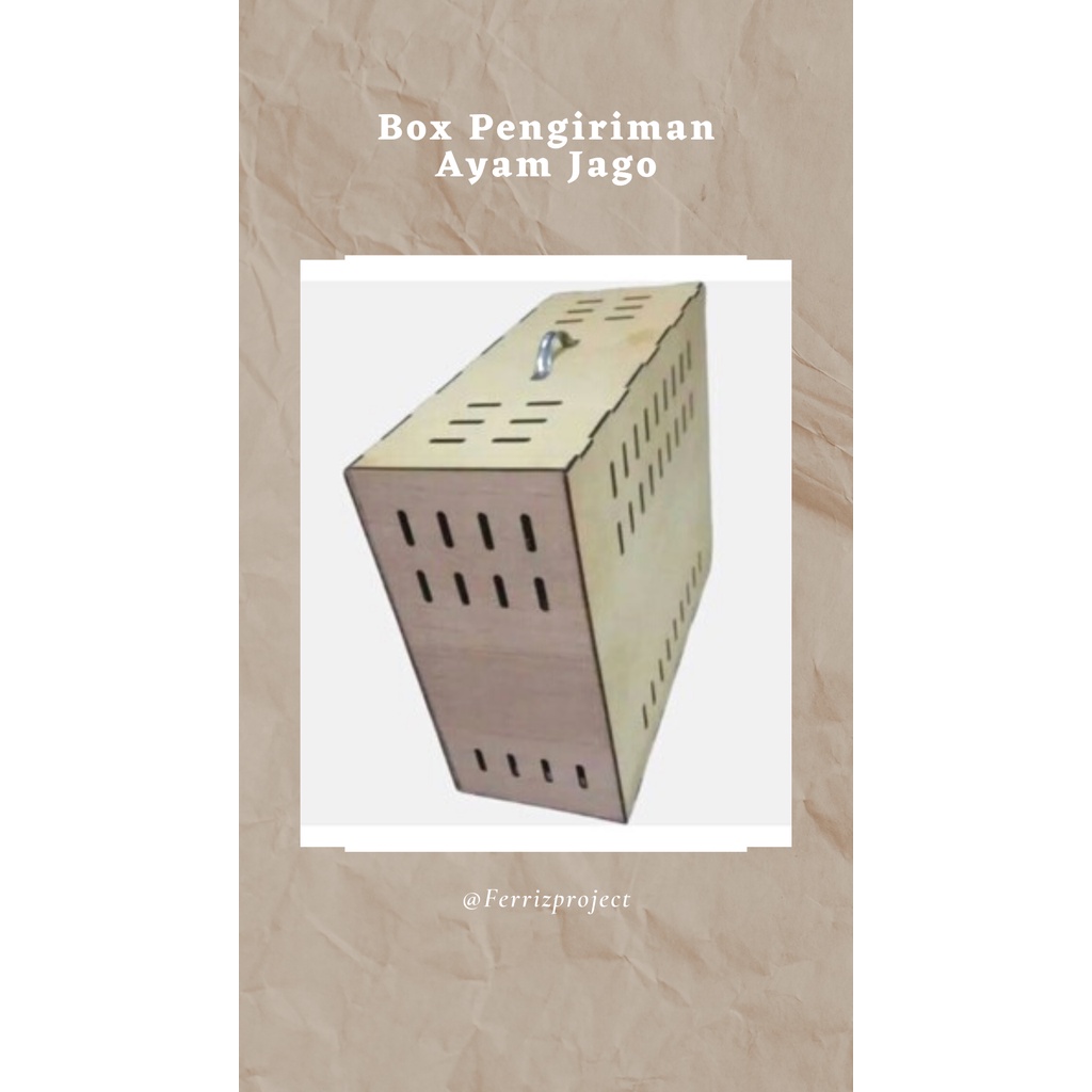 Box Pengiriman Ayam Jago Box Ayam Bangkok
