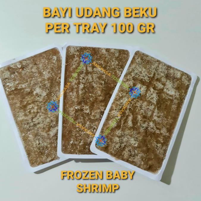 Kualitas Terbaik] Udang Rebon Beku Pakan Ikan Hias Baby Shrimp Frozen Per Tray 100Gr