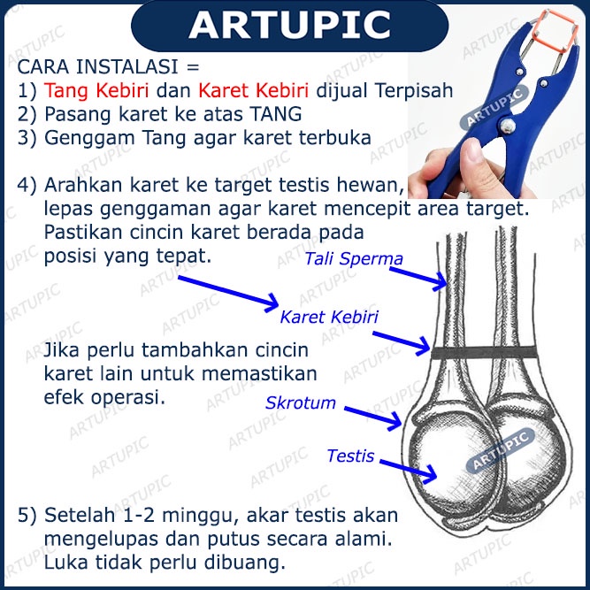 Tang Kebiri Kastrasi Castration Peralatan Karet Terpisah Kebiri Hewan Kambing Domba Artupic