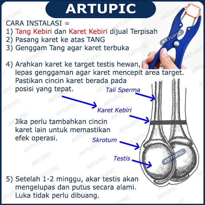 Karet Kebiri Cincin Ring Kastrasi Castration Alat Kebiri Hewan Babi Domba Kambing Sedangkan Tang Kebiri Dijual Terpisah