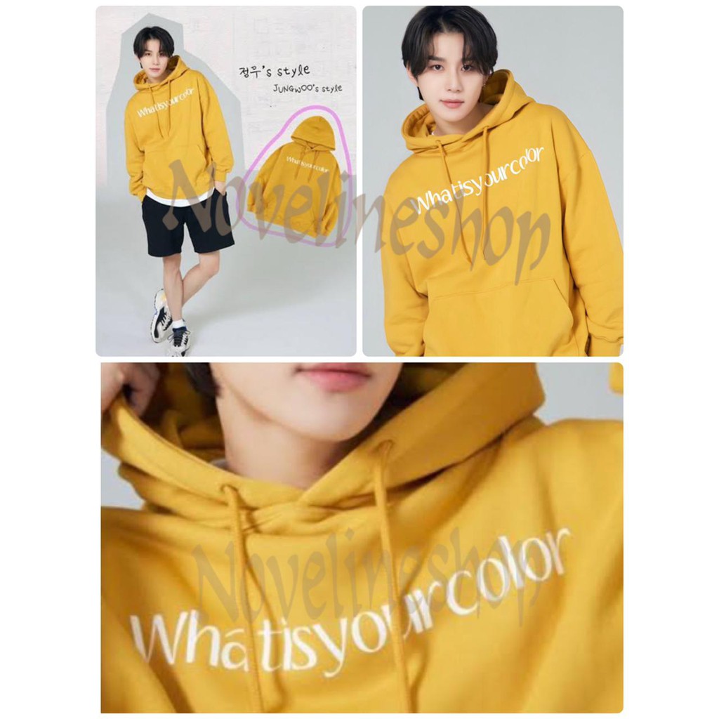 HOODIE SWEATER KPOP NCT JUNGWOO STYLE WHAT IS YOUR COLOR