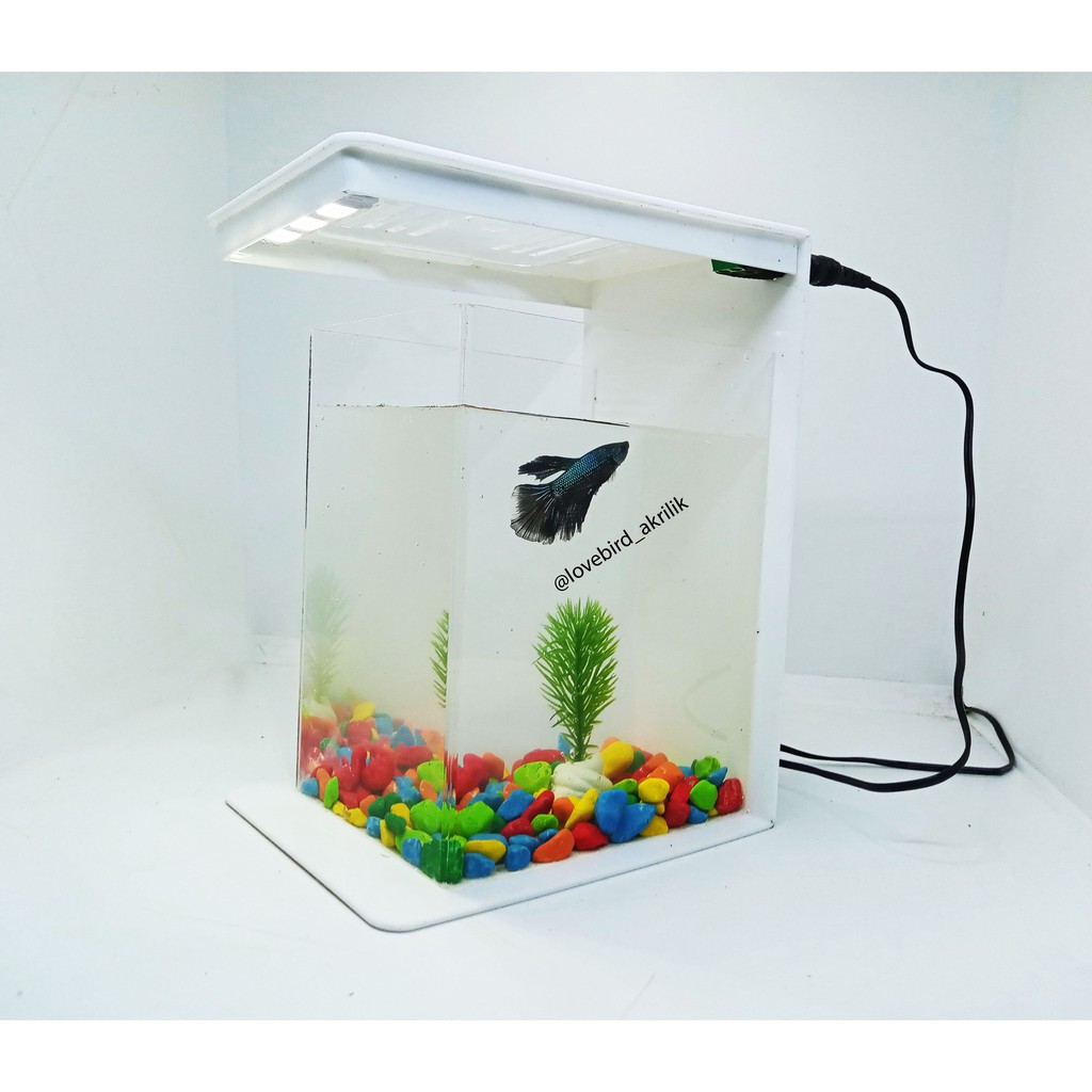 PROMOO Mini Akuarium Akrilik,  Aquarium mini Acrylic, Soliter Cupang, Mini Tank