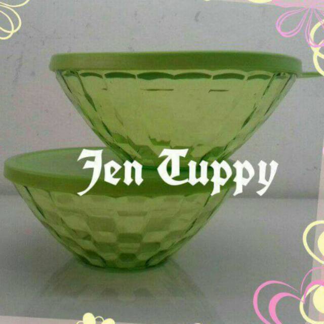 Prisma bowl (2) 500ml