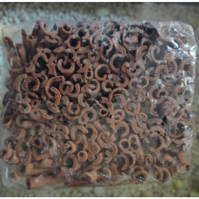 

Kayu manis cutting 10cm