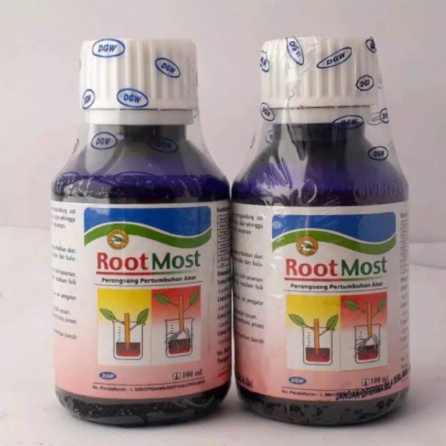 PROMO HORMON PENUMBUH AKAR ROOT MOST 100ML PROMO