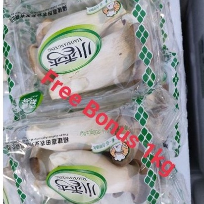 

Jamur King Oyster 1 Pck + Gratis Bonus 1 Kg