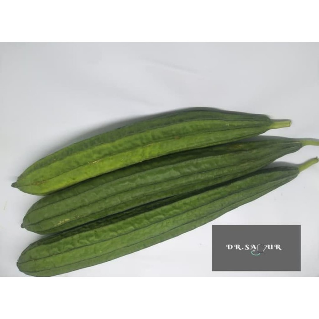 

Oyong/Gambas