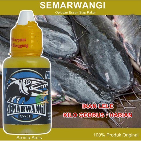 Semarwangi Essen Ikan Lele Kilo Gebrus - Lomba Harian