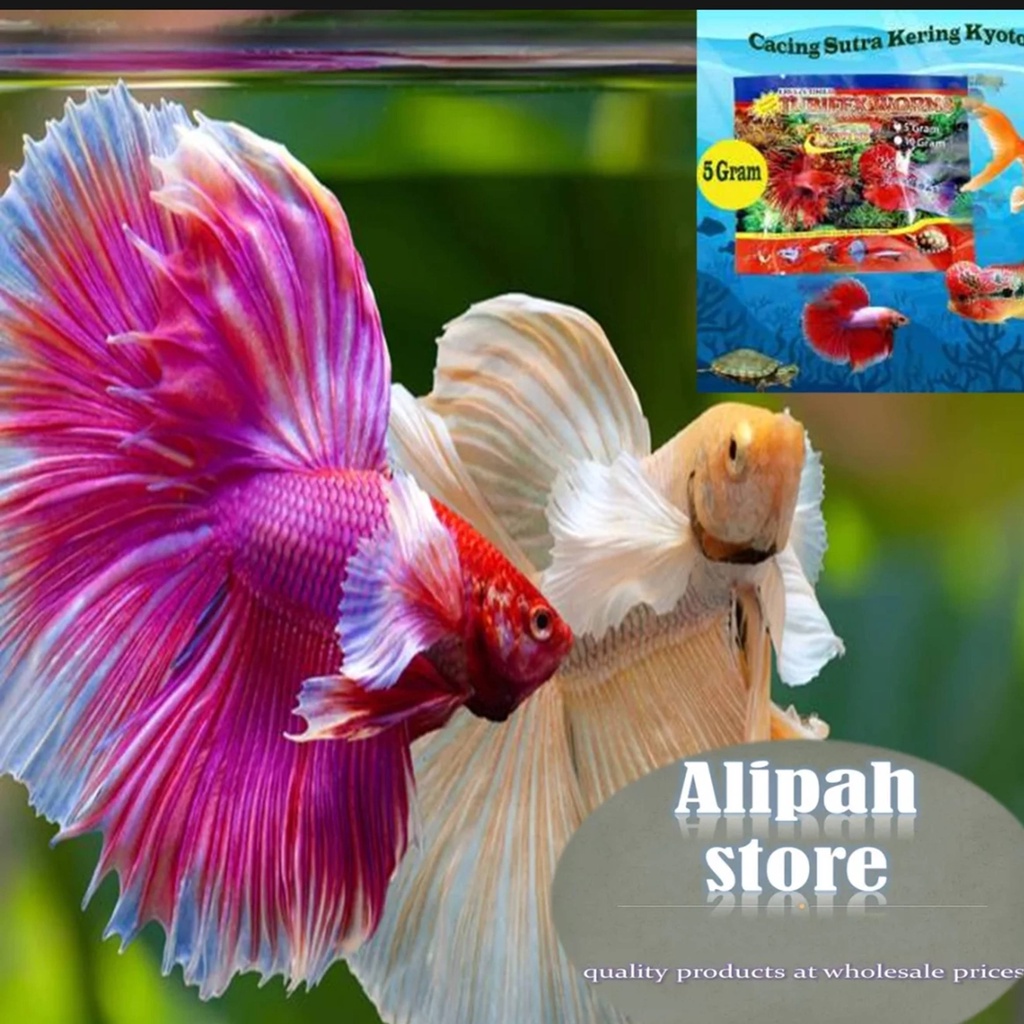 cacing kering pakan ikan cupang 5 gr dan ikan hias lain ny