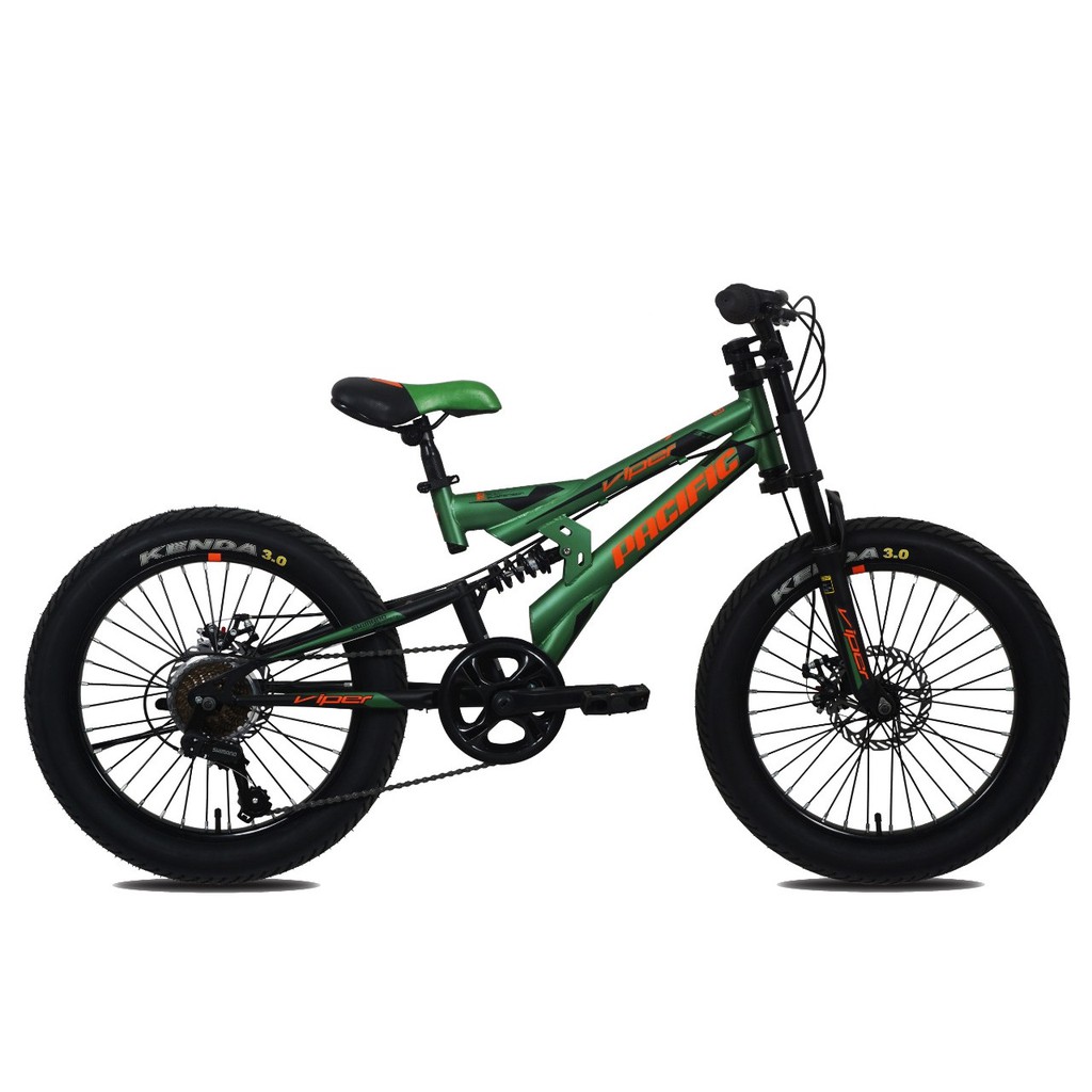 fat bike dual suspension