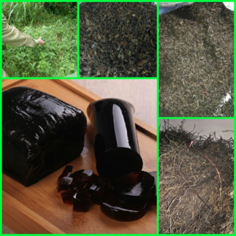 DAUN CINCAU HITAM KERING SUPER 1KG GRADE A