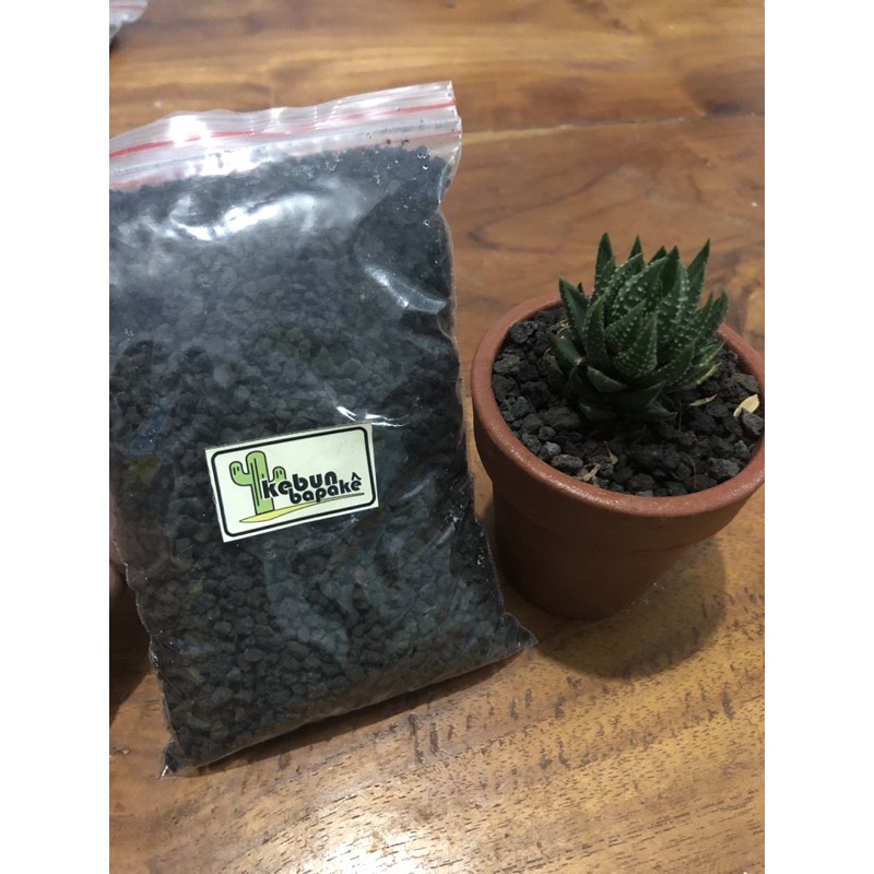 pasir batu malang untuk tanaman hias