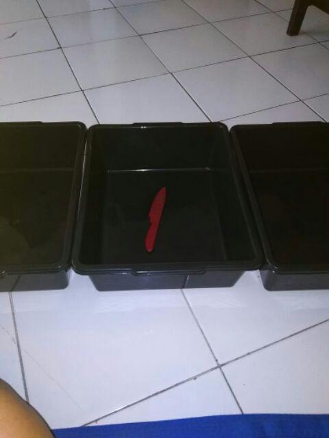 Pisau Dapur/ Pisau Buah/ Pisau Murah