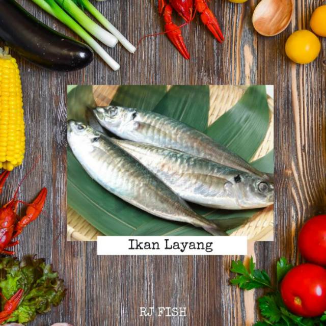 

Ikan Layang Utuh Fresh Beku RJ Fish 1Kg