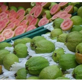 

jambu krital, buah segar