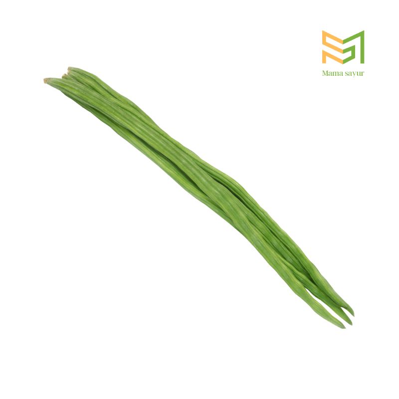 

Buah kelor segar per ikat