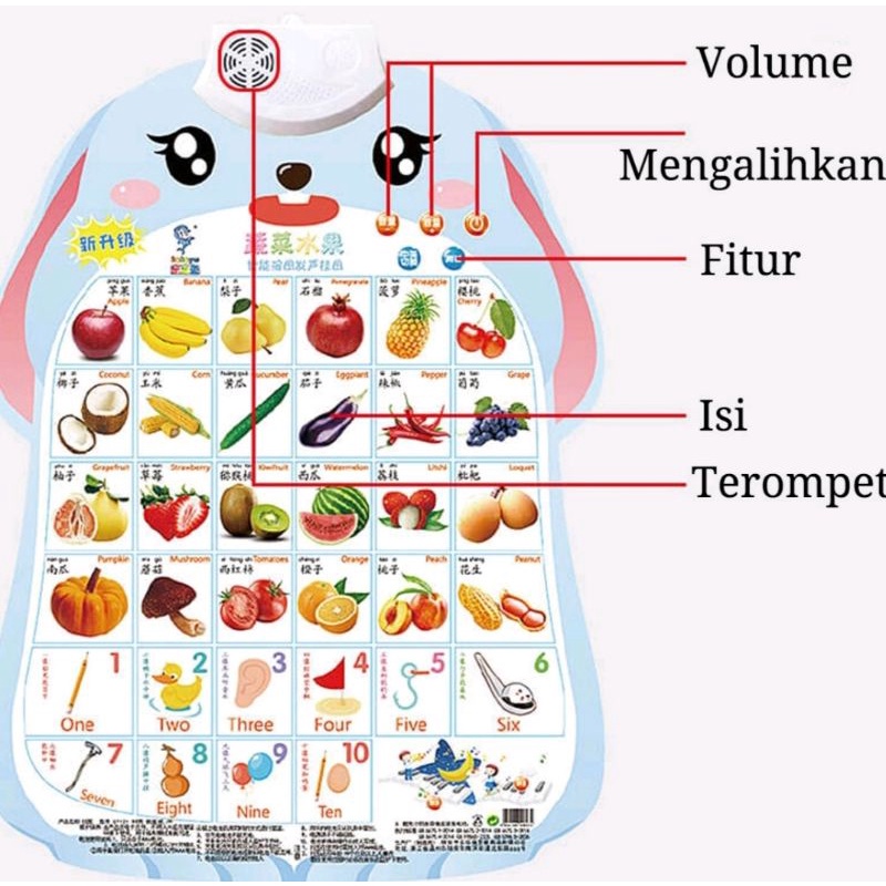 POSTER SUARA DINDING BELAJAR / POSTER SUARA DINDING TEMPELAN / POSTER  EDUKASI ANAK BELAJAR