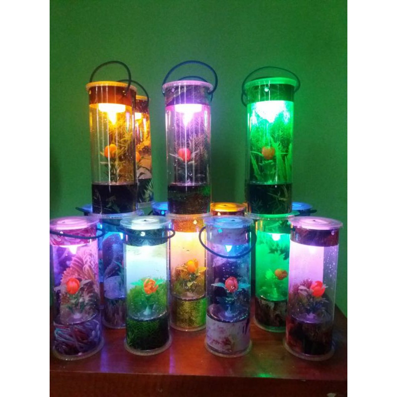 AQUARIUM MINI BUAT IKAN CUPANG