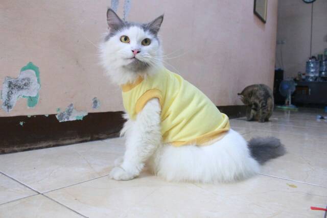 Kaos kuning untuk kucing &amp; anjing /Jual Baju Kucing Terlengkap &amp; Berkualitas size S-XL