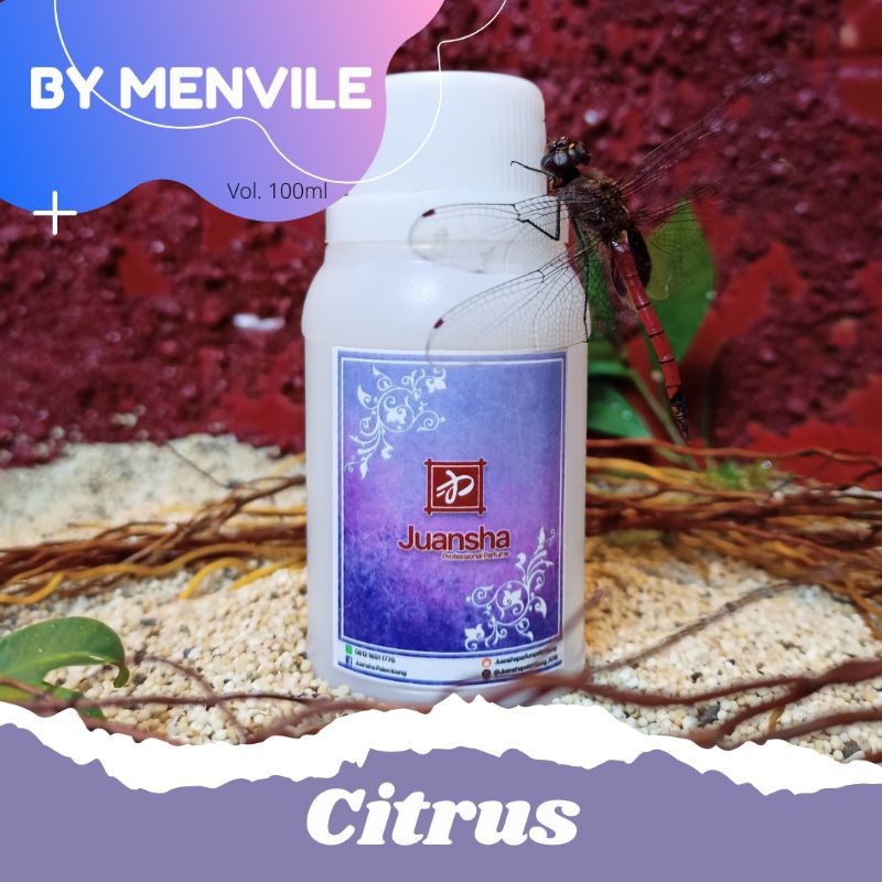 BIBIT PARFUM MURNI | CITRUS | MENVILE | REPACK | 100 ML