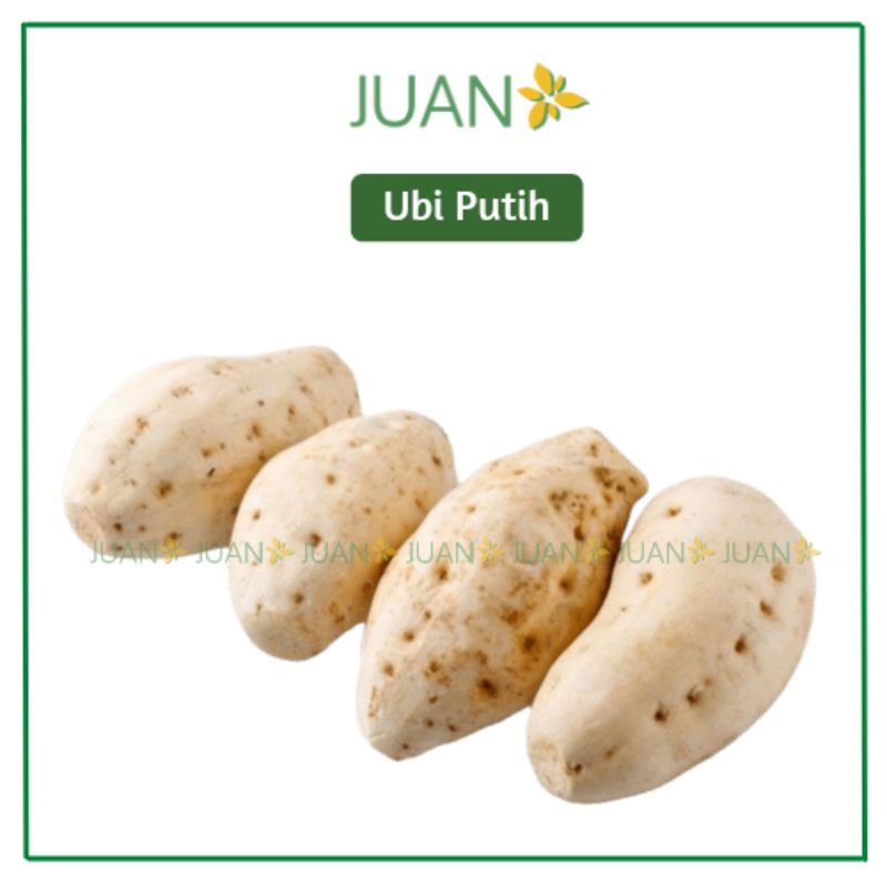 

Ubi Putih 1kg - Juan Freshmart