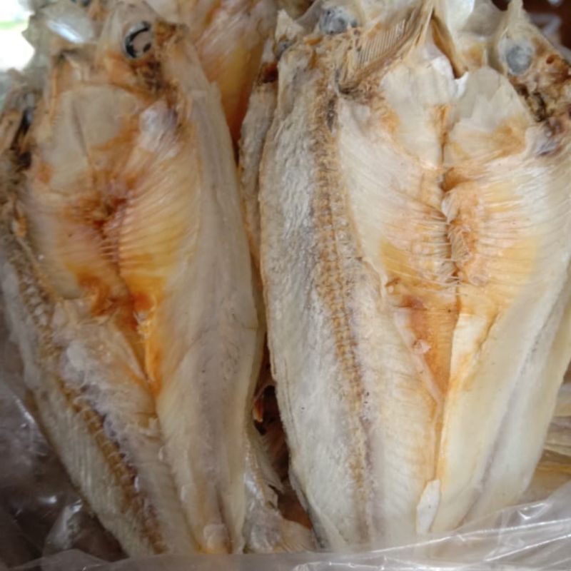 

ikan asin lea 250 gr asli cilacap
